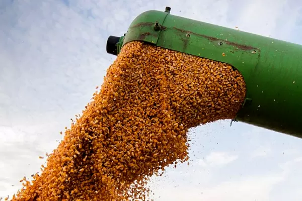 CRA rechazó la idea de una empresa estatal para ordenar el mercado de granos