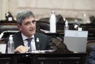 Diputados debate la postergación de las elecciones nacionales