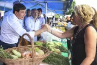 Estudian quitar el IVA a la carne, leche y verduras para quienes pagan con Tarjeta Alimentar