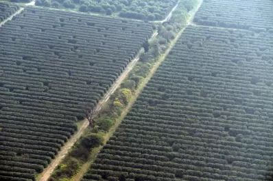 La Niña podría traer otro verano seco y se encienden las alarmas en Tucumán
