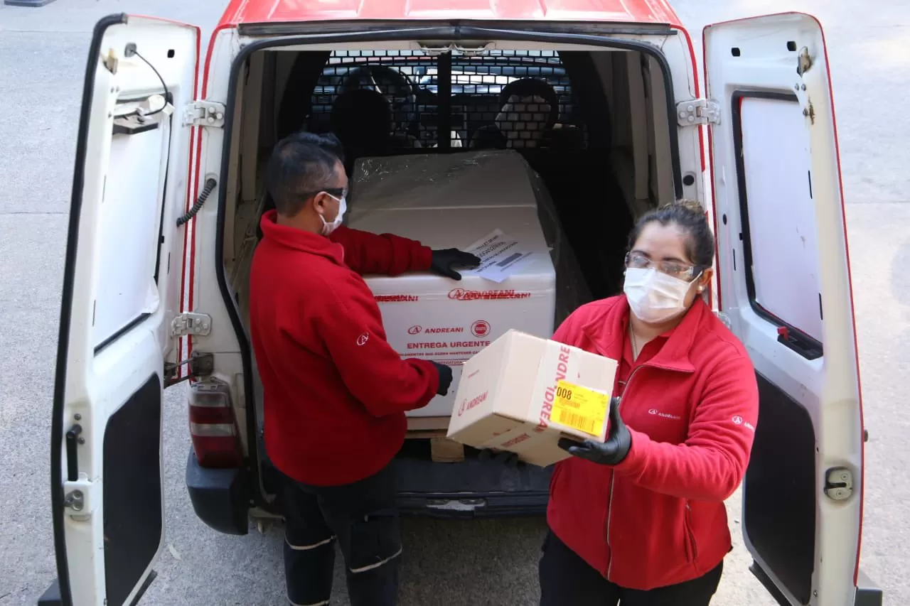 MÁS DOSIS. Llegaron al depósito del Siprosa 7.500 dosis de Covishield. Foto: Prensa Salud Pública
