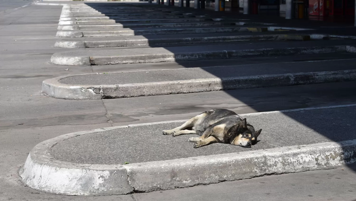 SIN SERVICIOS. La terminal de ómnibus de la ciudad mantendrá una postal desoladora durante el resto de la semana debido al paro de colectivos.