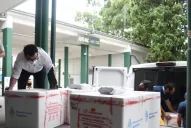 Buscan autorizar al Poder Ejecutivo la compra de un millón de dosis