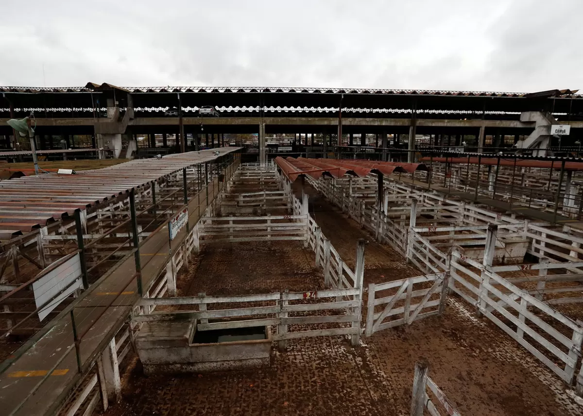 Continúa por cinco días más el paro de los ganaderos