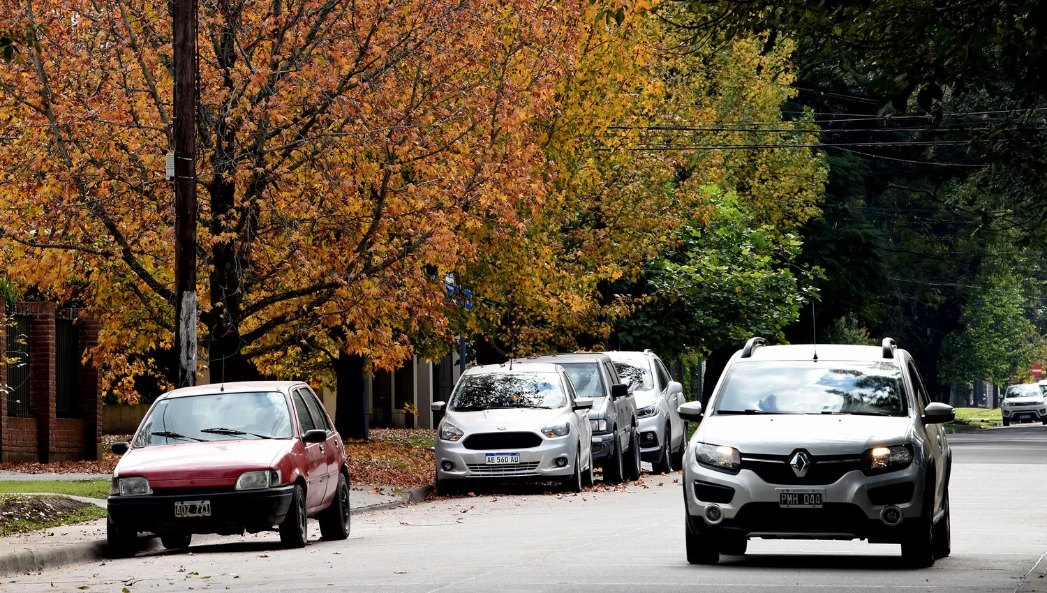 OTOÑO. Las hojas de los árboles comienzan a renovarse en las calles de la ciuidad.