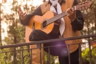 ¿A qué le cantan hoy los folcloristas?