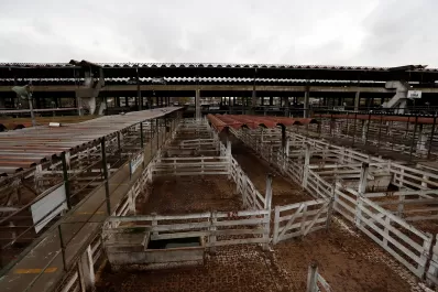 Continúa por cinco días más el paro de los ganaderos