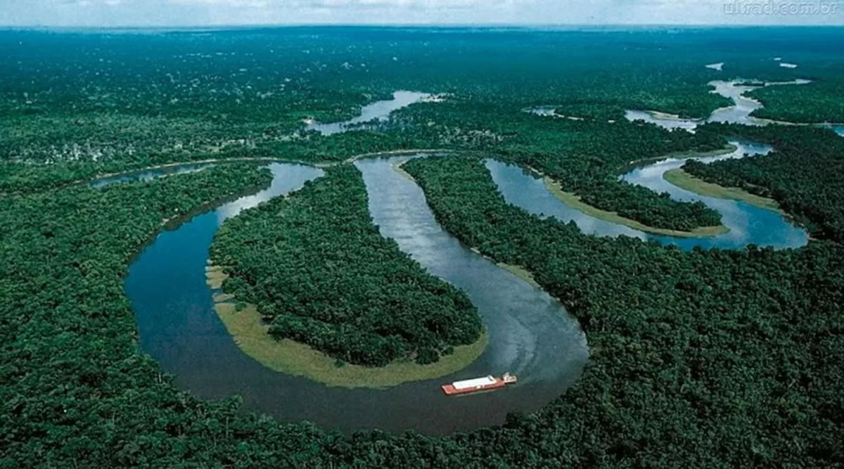 Podrían retornar los incendios a la Amazonia