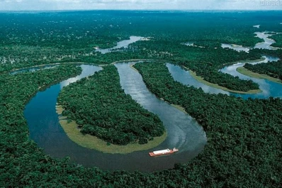 Podrían retornar los incendios a la Amazonia