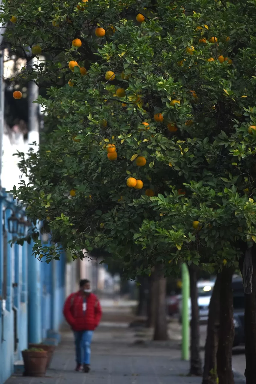 LA GACETA / FOTOS de Diego Aráoz.