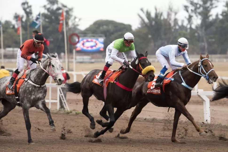 ACCIÓN. Los mejores ejemplares competirán en la reunión que se llevará a cabo el jueves.