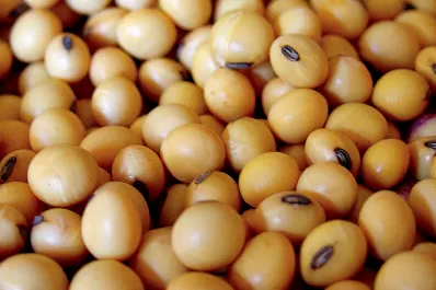 La nevada histórica en Brasil pone en peligro los cultivos