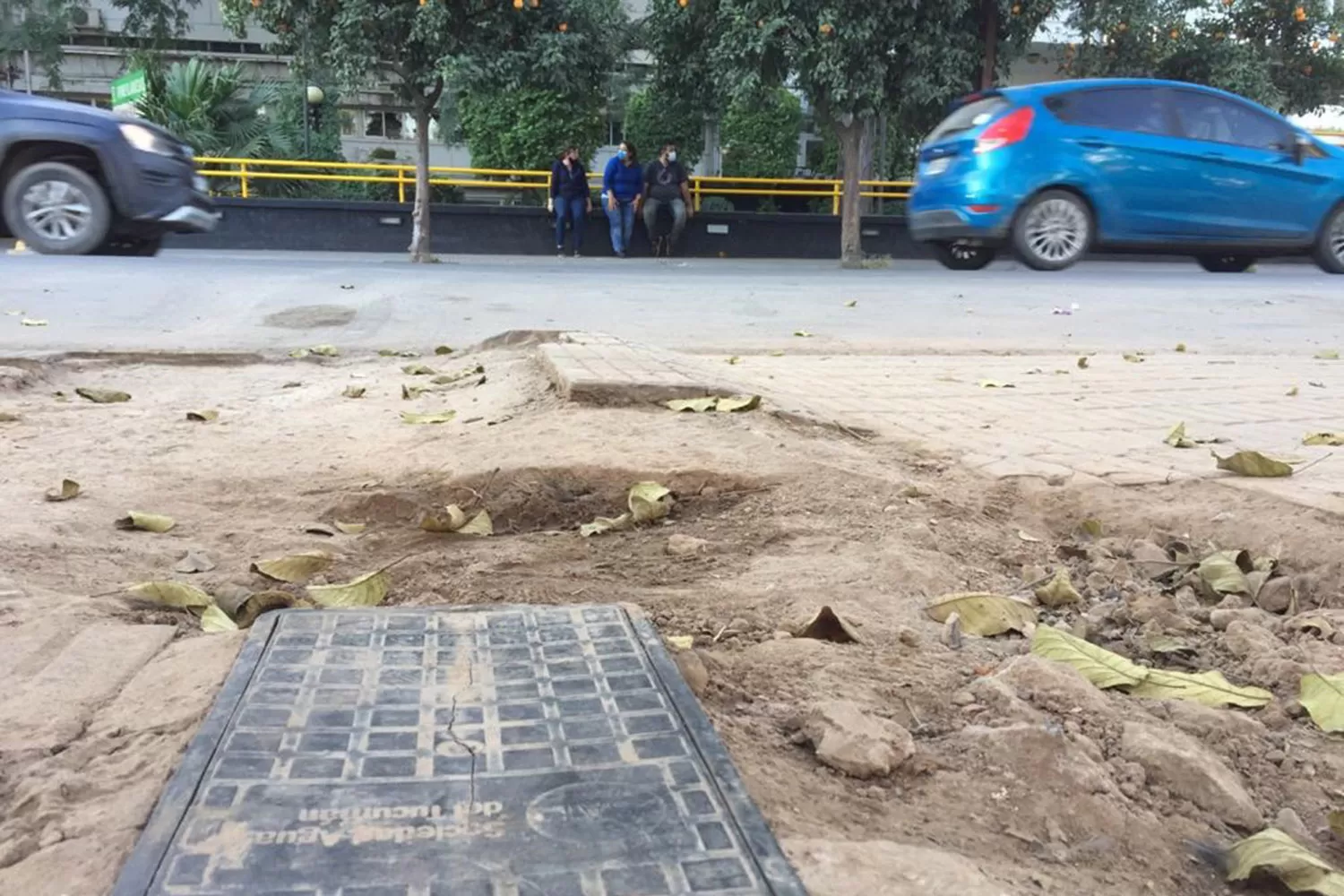 Cartas de lectores III: veredas