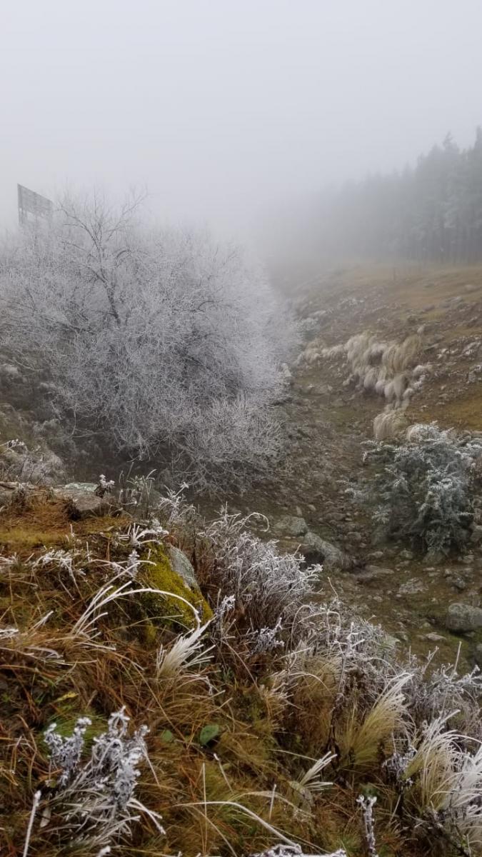 FOTO LA GACETA/MATÍAS VIEITO