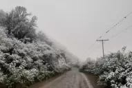 Hualinchay también amaneció blanco después de la primera nevada