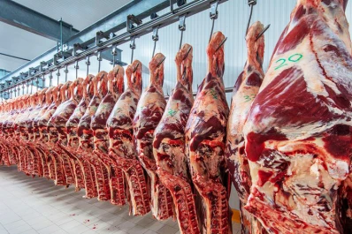 Confirmaron que la semana próxima se reabre la exportación de carne