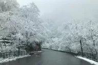Pronostican un fin de semana frío en Tucumán, con posible nevada en Tafí del Valle