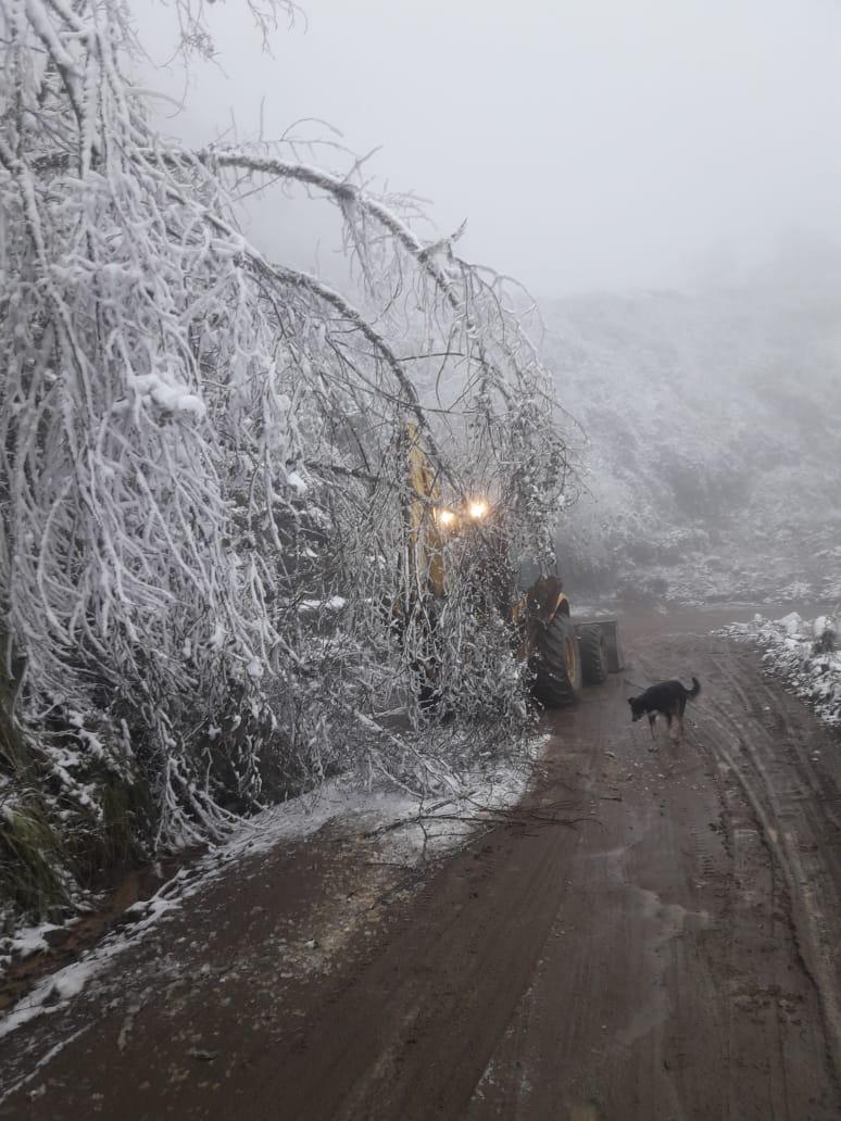 Piden transitar con extrema precaución por la ruta nacional N° 65 hacia Catamarca