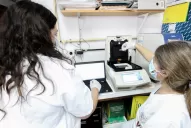 Científicos argentinos prueban con éxito un compuesto para tratar el coronavirus