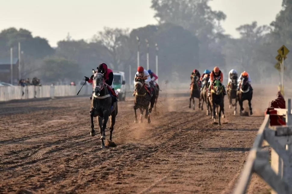 RECUPERÓ SU MEJOR NIVEL. La tordilla Prohibition tendrá siete adversarios en la exigente competencia de 1.400 metros. LA GACETA / FOTO DE INÉS QUINTEROS ORIO