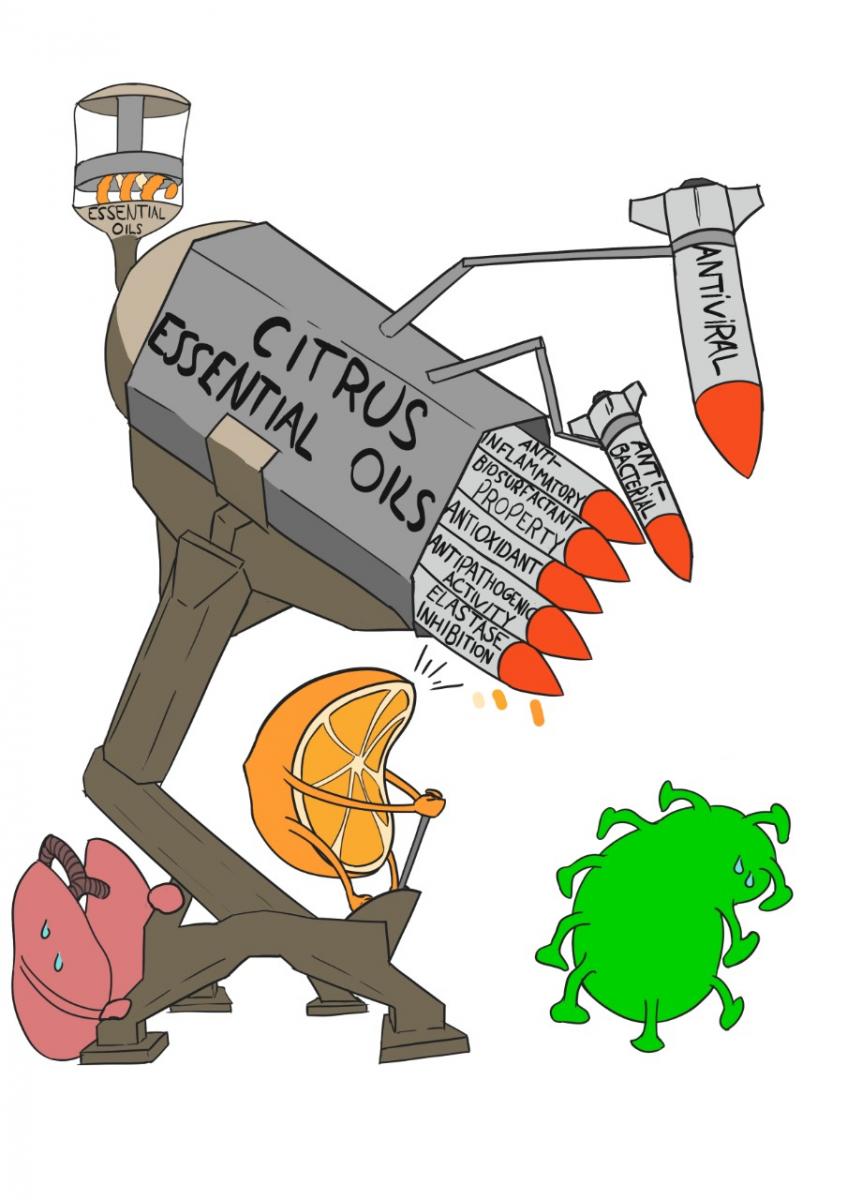 CORONAVIRUS. Un estudio realizado por científicos tucumanos destacó los beneficios de los aceites de citrus contra la covid-19. Imagen de: Julian Amaya y Bélen Amaya.