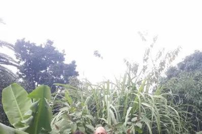 Enseñarle a mi hijo para que tenga un planeta para vivir