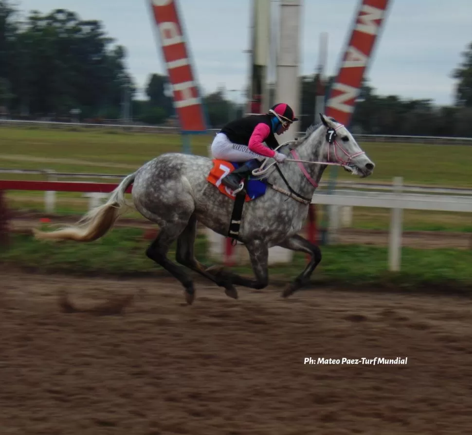 CONTUNDENTE. La tordilla Prohibition volvió a su mejor nivel y logró un gran éxito en el cotejo principal del hipódromo local. fotos gentileza mateo pérez