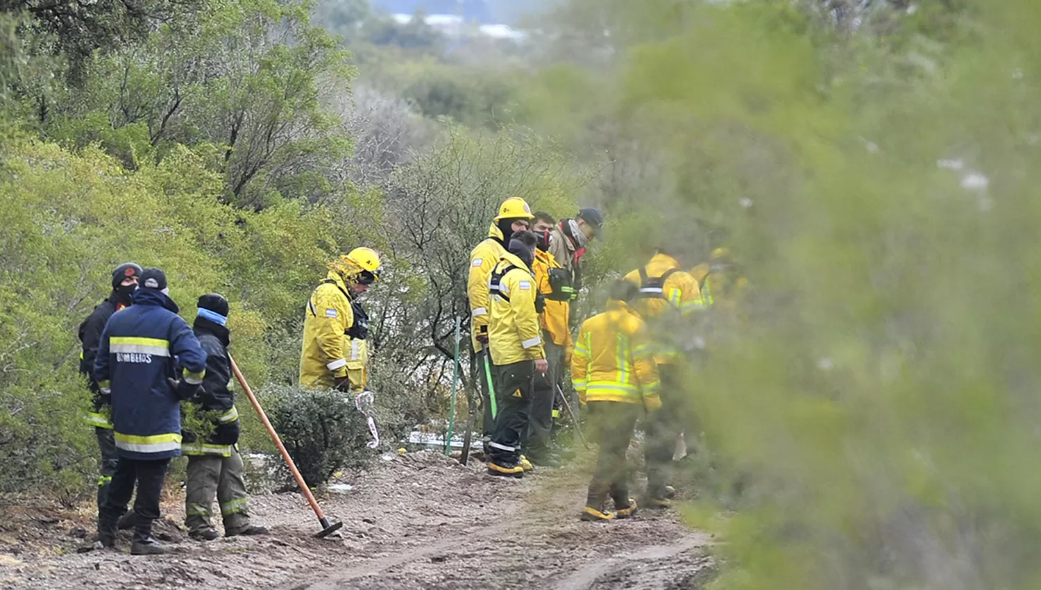 RASTRILLAJES. Más de 400 personas buscan pistas para dar con el paradero de la pequeña Guadalupe Lucero en San Luis.