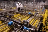 Citrusvil: acciones concretas por el desarrollo sostenible del NOA