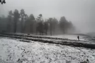 Descenso de temperatura: Tafí del Valle volvió a quedar cubierto de nieve