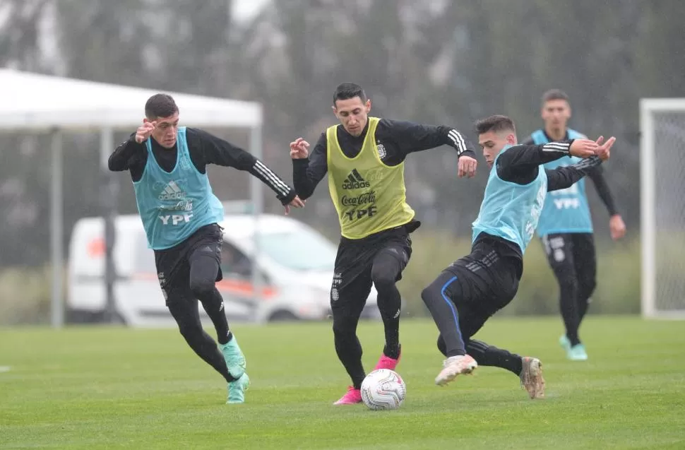 UNA BUENA NOTICIA. Ángel Di María está recuperado y es una opción para el ataque argentino de cara al duelo con Ecuador. Twitter@argentina