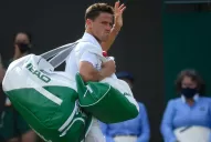 Schwartzman luchó pero no logró evitar su eliminación de Wimbledon
