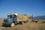 Aprovechamiento energético de biomasa de los principales cultivos de Tucumán