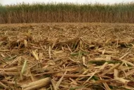 Enumeran los beneficios de mantener RAC como cobertura