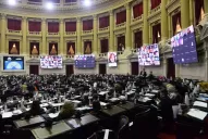 Apoyo opositor en Diputados a la media sanción de la nueva ley de biocombustibles 