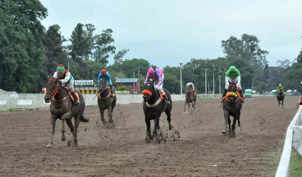 CANDIDATA. La yegua Doble Alegría, que será conducida por Dante Córdoba, se destaca en el especial “Luis ‘Loro’ López”. LA GACETA / FOTO DE ANTONIO FERRONI