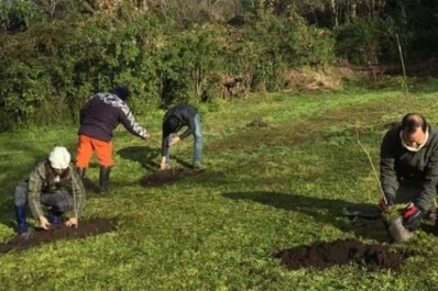 Ecología y medio ambiente: quieren restaurar el bosque nativo en Aguas Chiquitas
