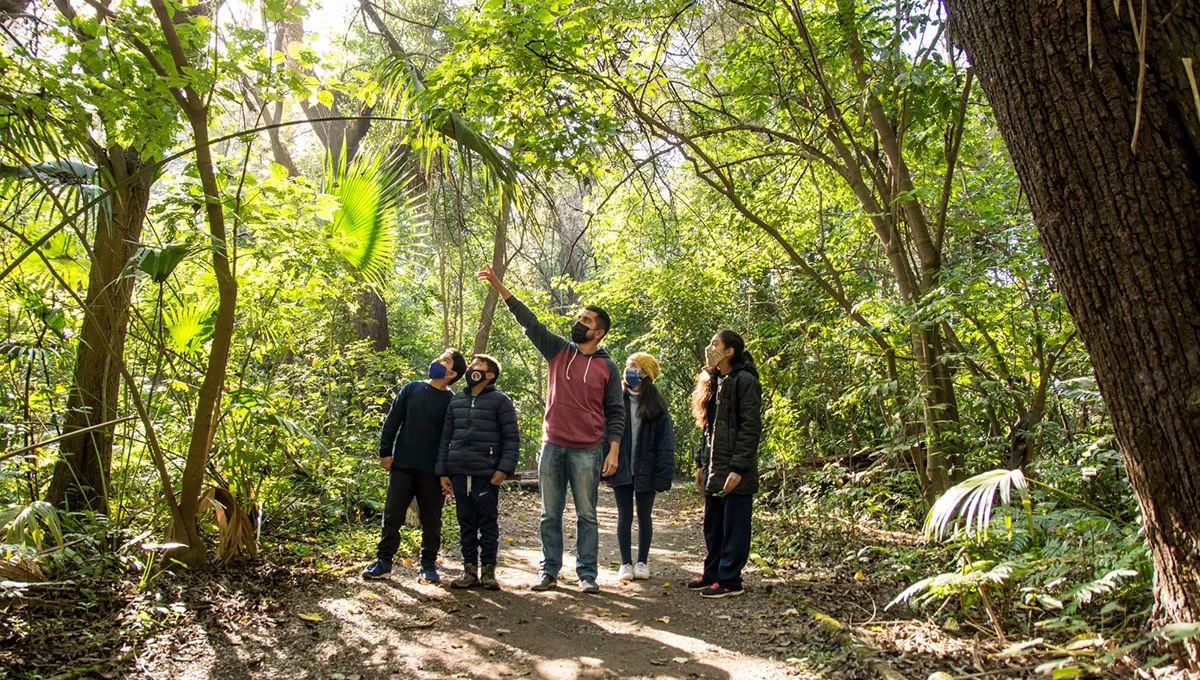 ACCIONES. La Municipalidad de Yerba Buena capacitó sobre naturaleza y sobre arbolado urbano a alumnos de una escuela municipal y al personal del vivero.