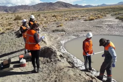 Minería: apuestan al litio para transformar la matriz productiva