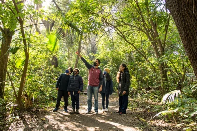 Yerba Buena: capacitación sobre naturaleza y sobre arbolado urbano