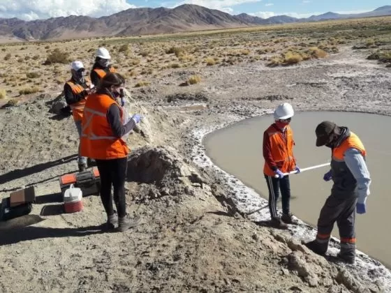 PRODUCCIÓN. En Jujuy, estiman que las inversiones superan los mil millones de dólares.  