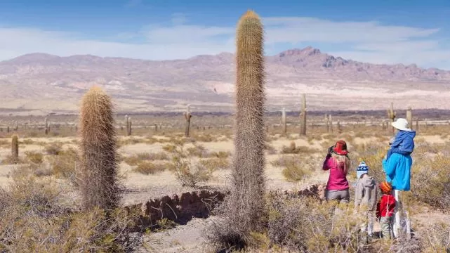 SALTA. Su diversidad de opciones turísticas nos permite acceder a escapadas naturales, históricas y culturales. 