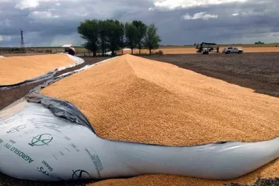 La Nación defendió el proyecto de la ley que castiga el vandalismo rural