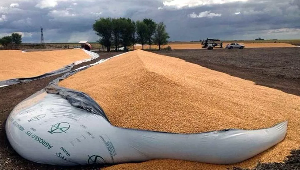 INSEGURIDAD EN EL CAMPO. La Nación defendió el proyecto de ley que castiga el vandalismo rural que, entre otros, endurece las penas contra las roturas a silobolsas.