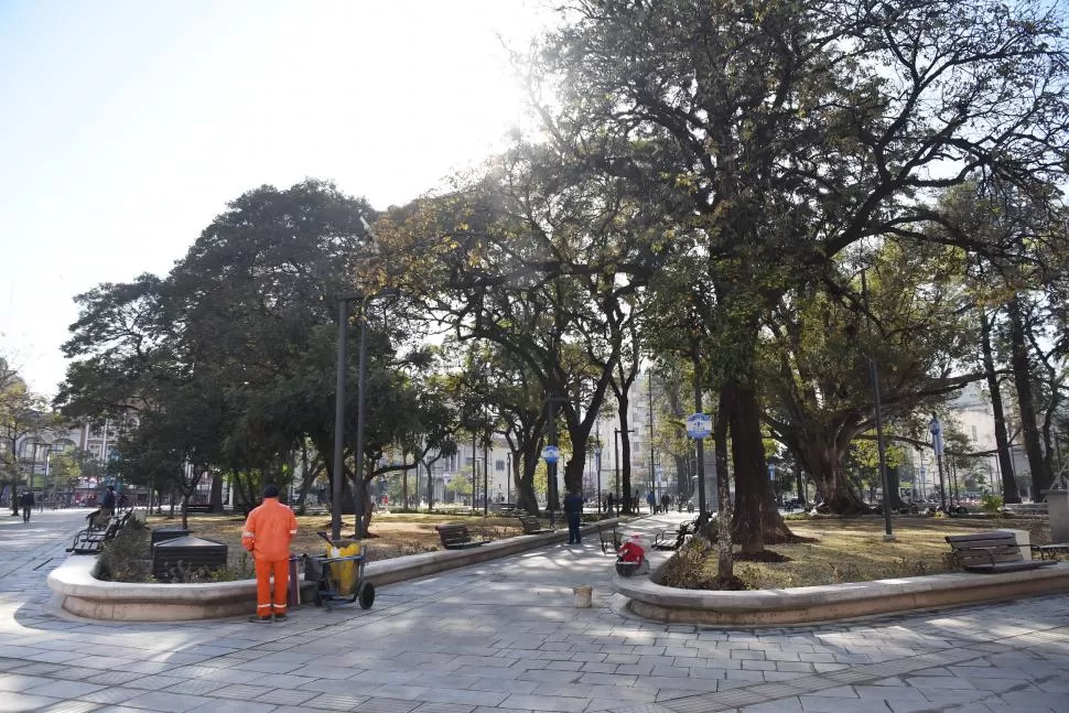 ARBOLADO. Se reemplazaron algunos ejemplares por otros nuevos. la gaceta / fotos de analía jaramillo 