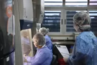 Leve baja de contagios en Tucumán: confirmaron 869 casos y 10 muertes por covid