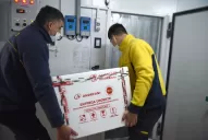 Tucumán  y la Sputnik V: “van a llegar hasta el 30 de agosto la cantidad que necesitamos