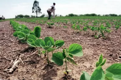 Apronor criticó una campaña contra los agrotóxicos