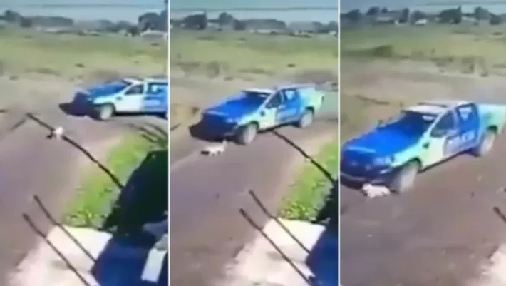 Video: denuncian a policías por perseguir y atropellar a un perro con el patrullero