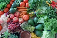 Norovirus: ¿Cuáles son los alimentos que favorecen la transmisión de la enfermedad?